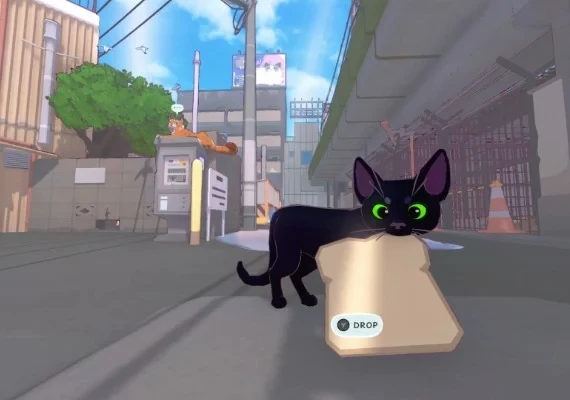 Little Kitty, Big City EN Global