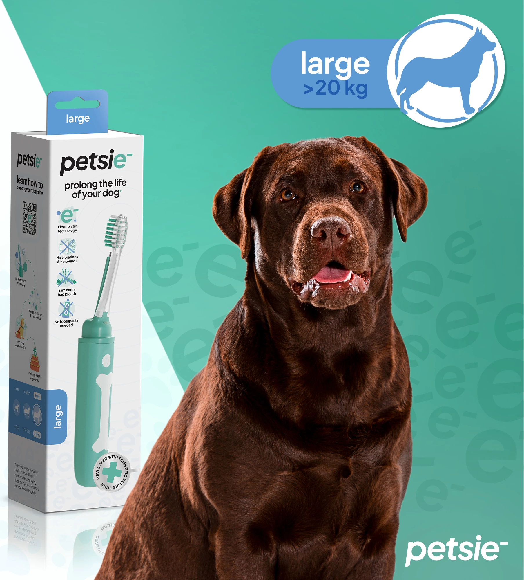 Petsie Furçë dhëmbësh revolucionare e qenve – Teknologji e avancuar elektrolitike për përvojën më të mirë të larjes