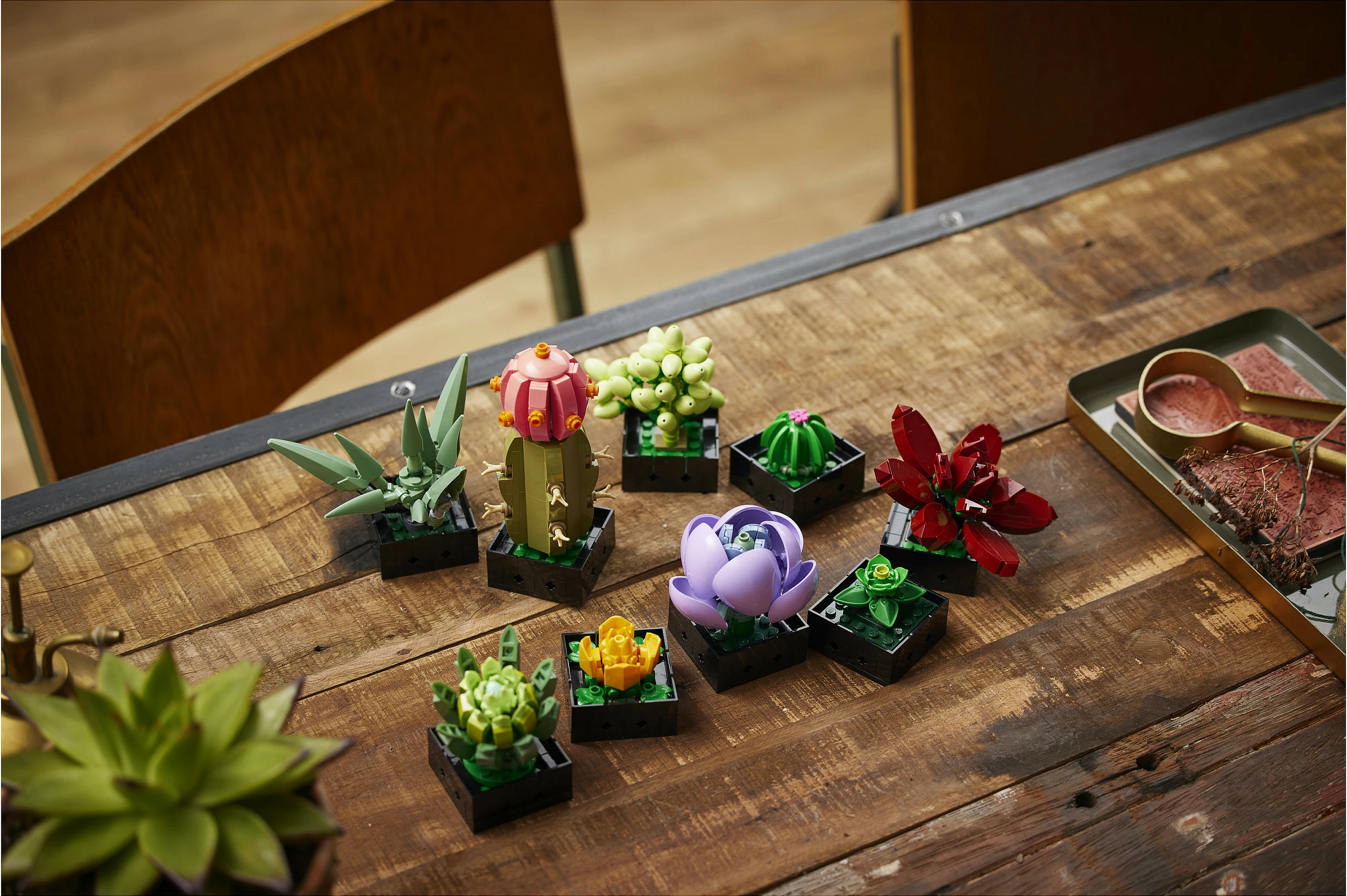 Set ndërtimi LEGO Botanicals Succulents 10309, 771 copë, 18+, multikolor