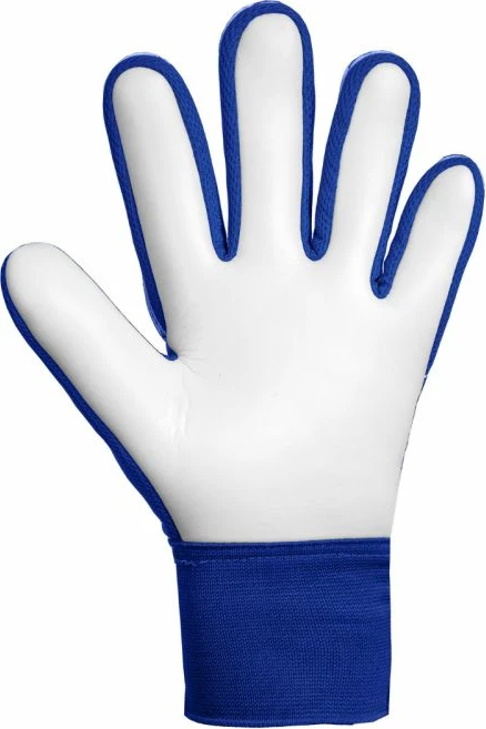 Dorëza portieri për fëmijë Starter Reusch Attrakt Starter Solid Junior, blu [Madhësia: 5.5]