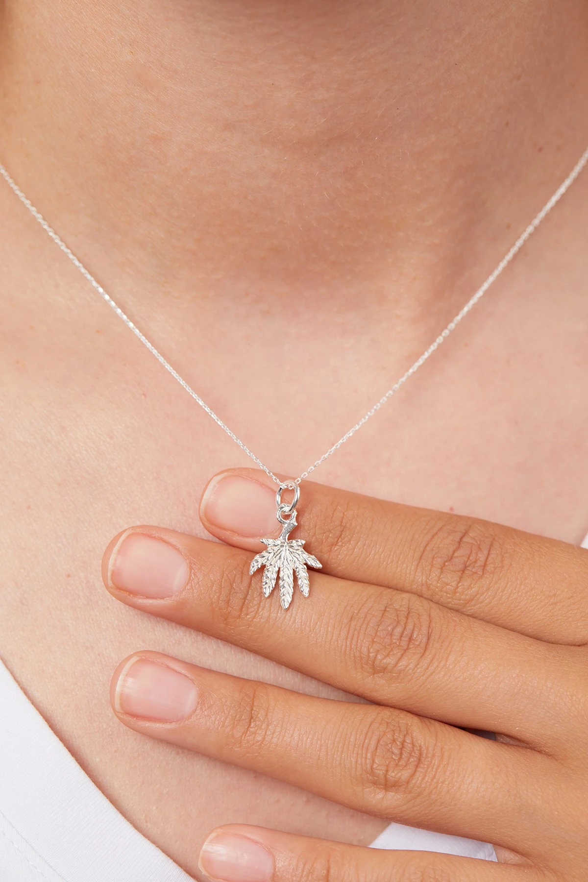 Varëse argjendi, Elika Silver, ELKMD50548