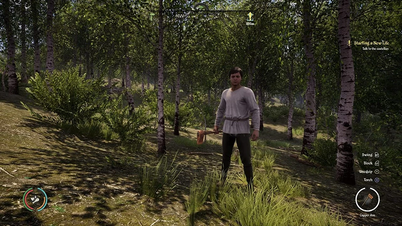 Lojë Merge Games Medieval Dynasty për PlayStation 5