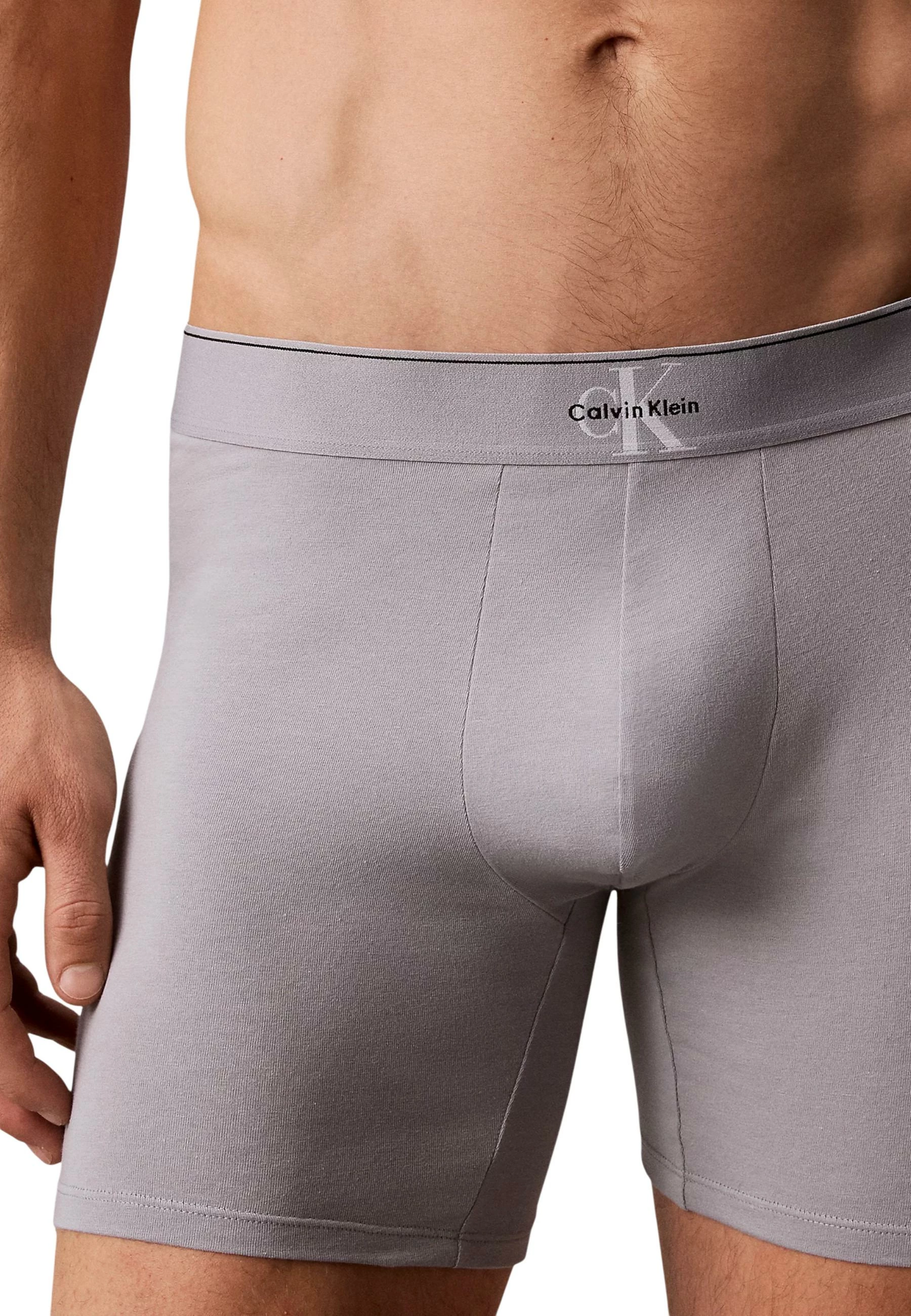 Të brendshme për meshkuj Calvin Klein Underwear LV00NB4473 3PK, të zeza-gri [Madhësia: M]