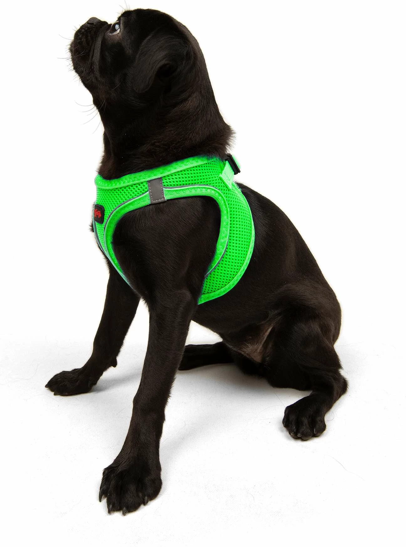 Parzmore për qen, ngjyrë Neo Green, Air-Mesh, XS
