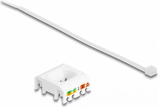 Modul Keystone DeLOCK RJ45–LSA Cat6A, pa vegla, i ekranizuar, Blu/Metalik/Bardhë