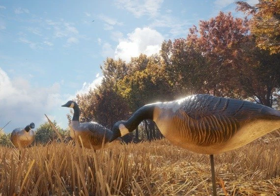 theHunter: Call of the Wild - Wild Goose Chase Gear DLC Global