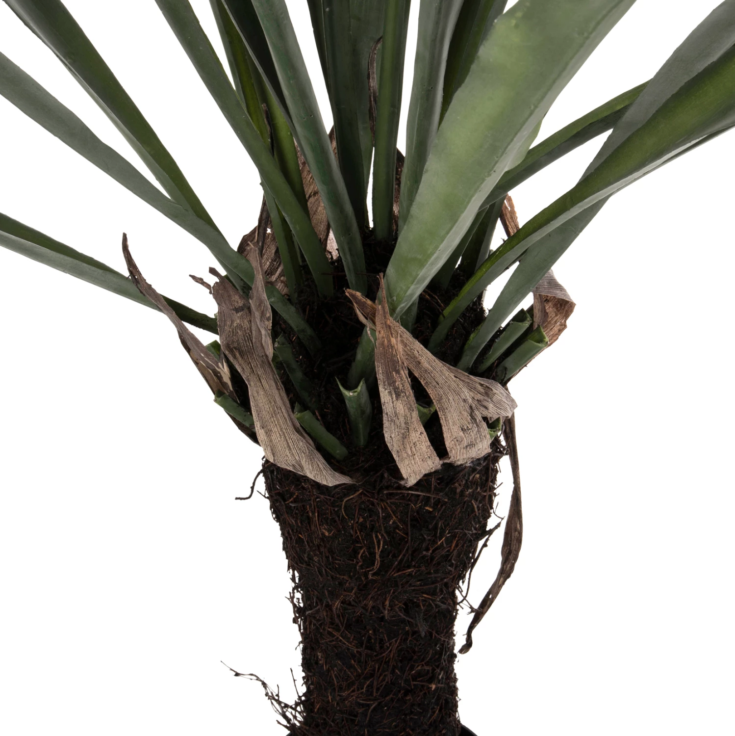 Bimë sintetike dekorative, FH7975, Asplenium Prolongatum (ferne), në vazo, 137H cm