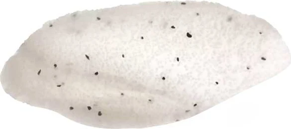 Skrab për fytyrë Essence Disney The Lion King Simba Coconut Hello, Good Stuff, 50 ml