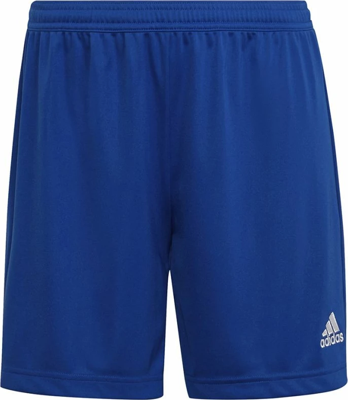 Shorce për femra adidas, blu [Madhësia: XXL]
