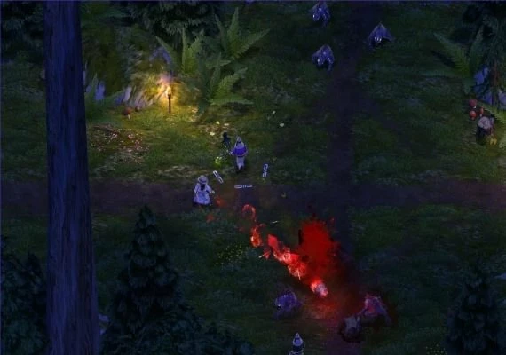 Magicka - Gamer Bundle DLC EN/RU Global