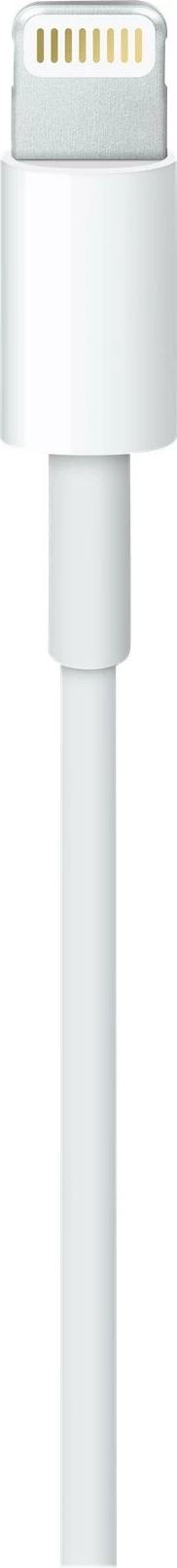 Apple Lightning cable - Lightning / USB - 1 m