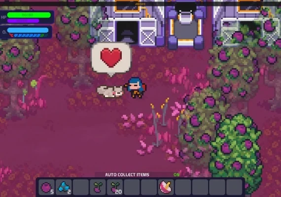 Nova Lands Global