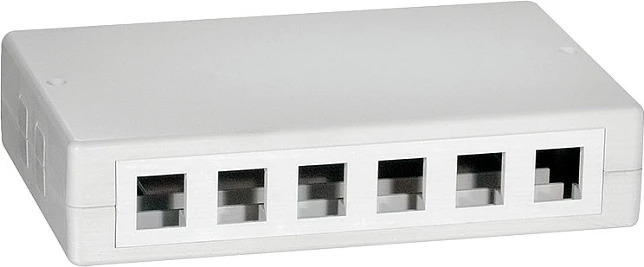 Kuti montimi sipërfaqësor Keystone LogiLink, 12 porta, e bardhë