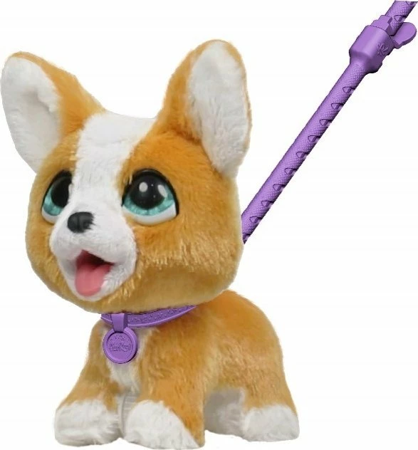 Lodër interaktive pelushi qen Corgi Fur Real Walk-A-Lots RTNGGEO2, 20 cm, me zë dhe lëvizje, kafe/bardhë, set (qen + litar + ëmbëlsira + lopatë)