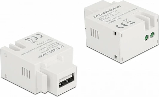 Modul keystone DeLOCK USB-A port karikimi 2.1A, i bardhë