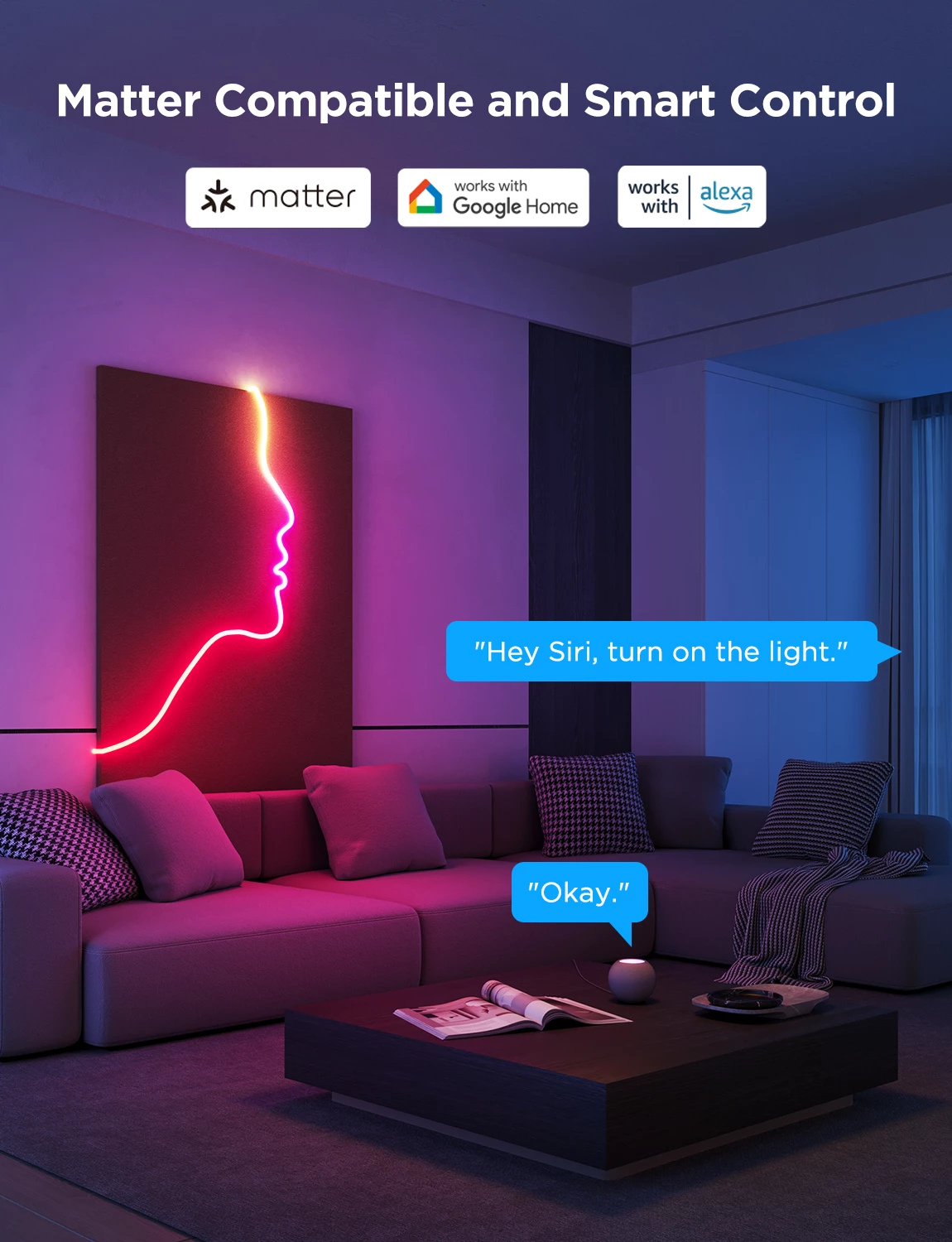 Shirit LED neon Govee Neon Rope Light 2 H61D3-W 3m RGBIC Bluetooth (EU 2-pin)