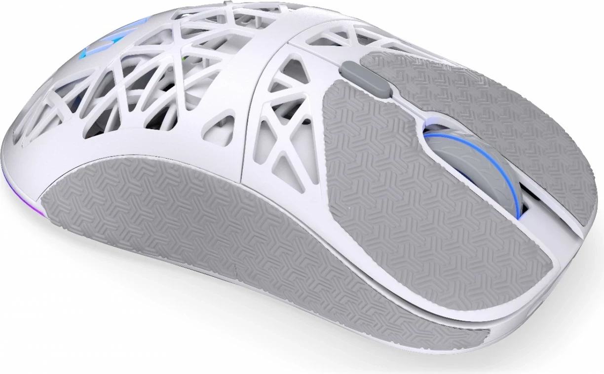 Maus wireless Endorfy LIV Plus Onyx, RGB, i bardhë