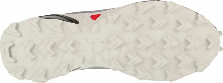 Atlete për meshkuj Salomon, të hirtë