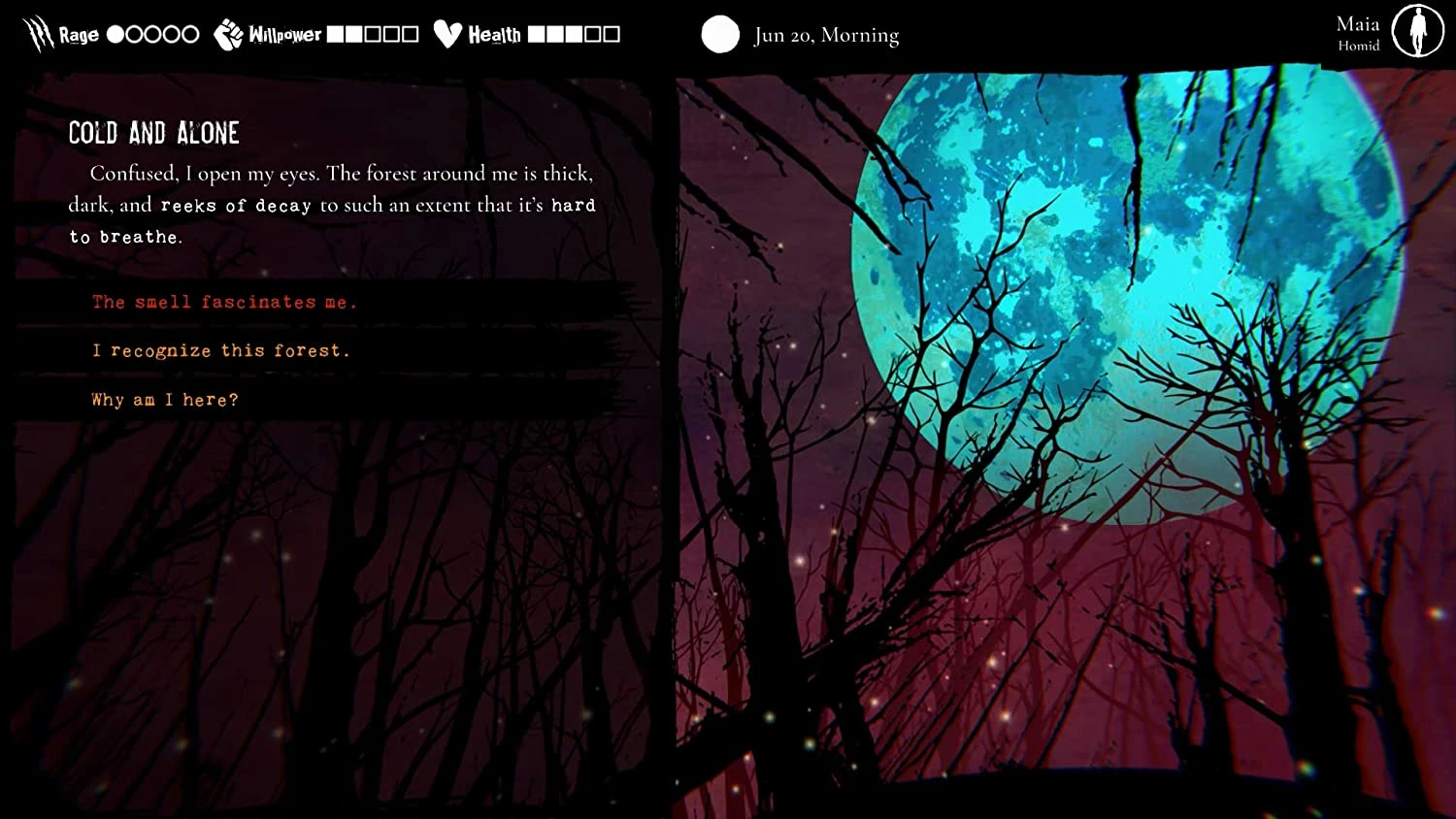 Lojë Nintendo Switch Funstock Werewolf: The Apocalypse - Heart of the Forest, PEGI 16