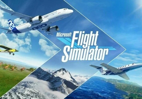 Microsoft Flight Simulator EN Global