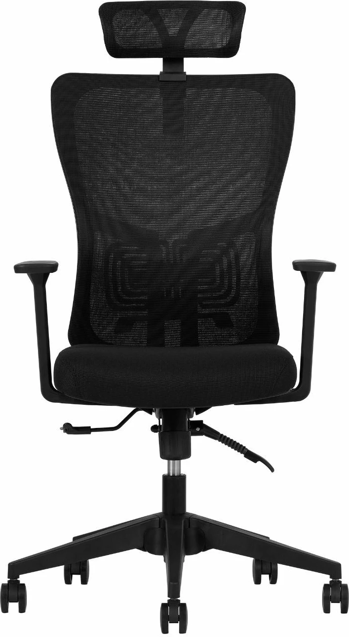 Karrige zyre ergonomike, ngjyrë e zezë, Skye Decor, 126 cm