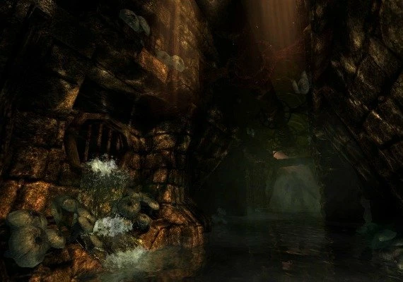 Amnesia - Re-Collection 2022 Edition EN/DE/FR/IT/PT/RU/ES Global