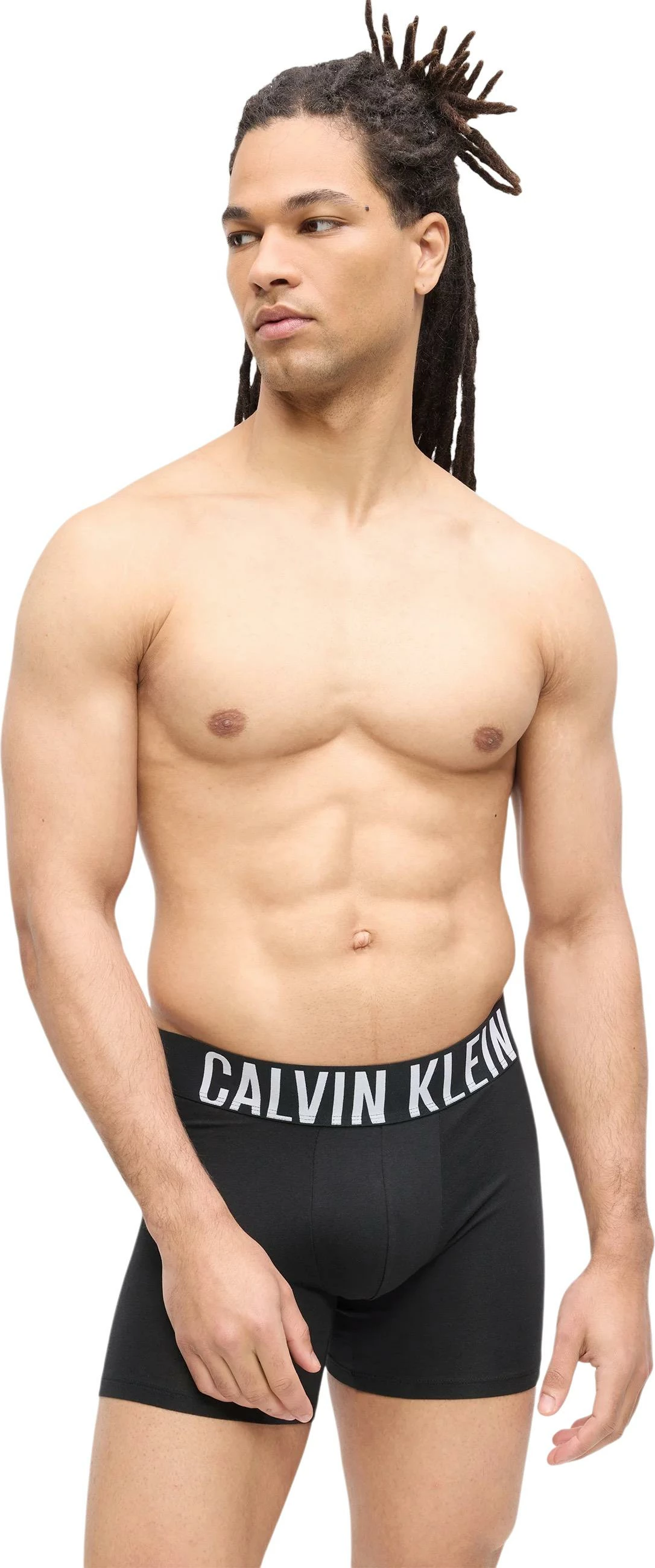Të brendshme për meshkuj Calvin Klein Underwear 000NB3609A, gri-zezë [Madhësia: L]