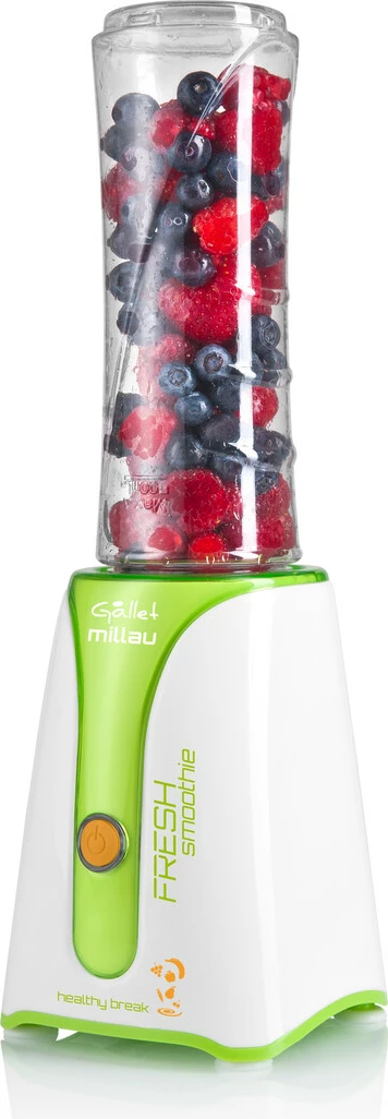 Blender GALLET GALMS590