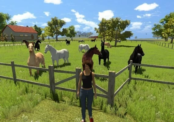 My Little Riding Champion EN Global