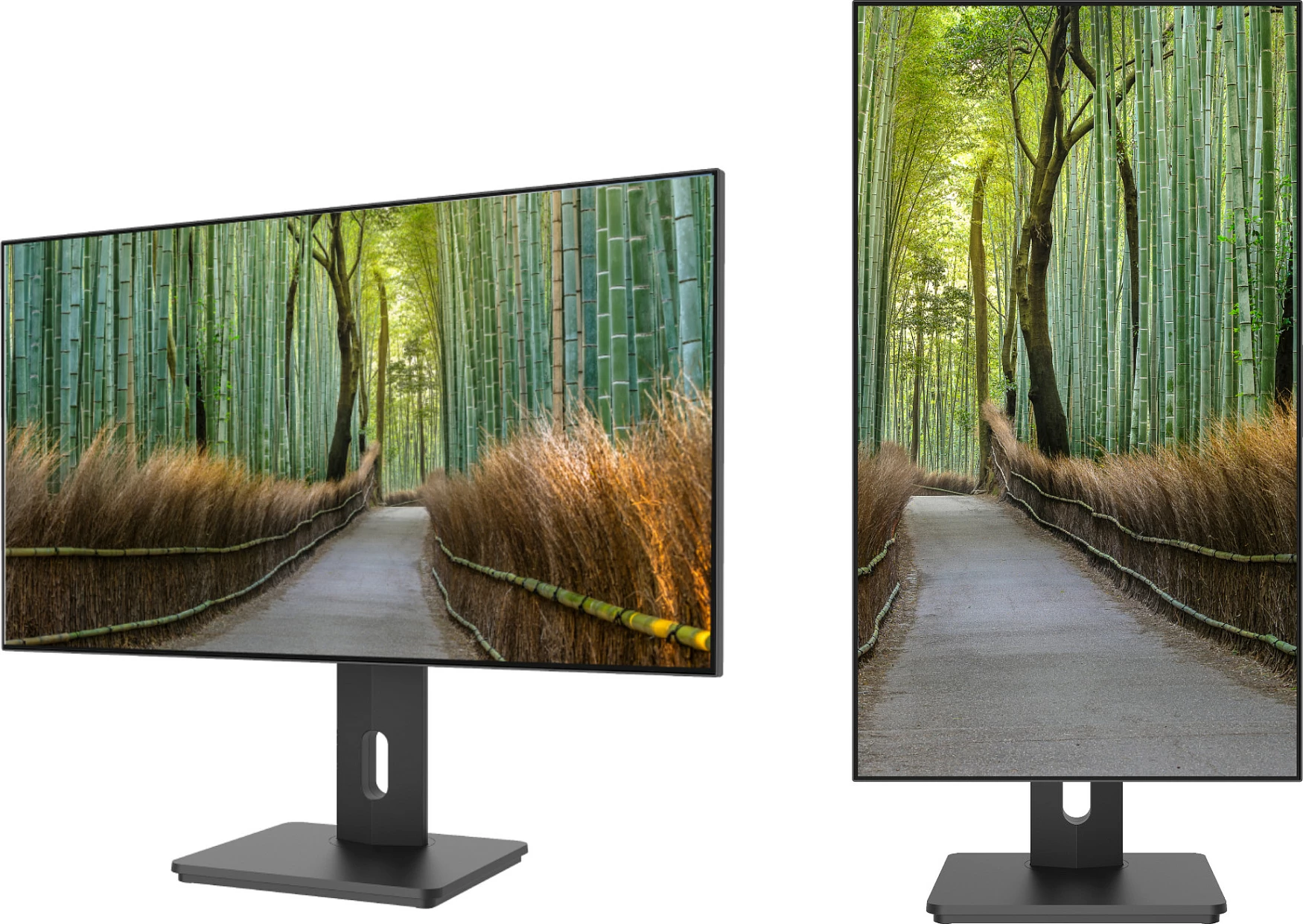 Monitor JAPANNEXT 27" WQHD IPS, 2560x1440, HDR10, FreeSync