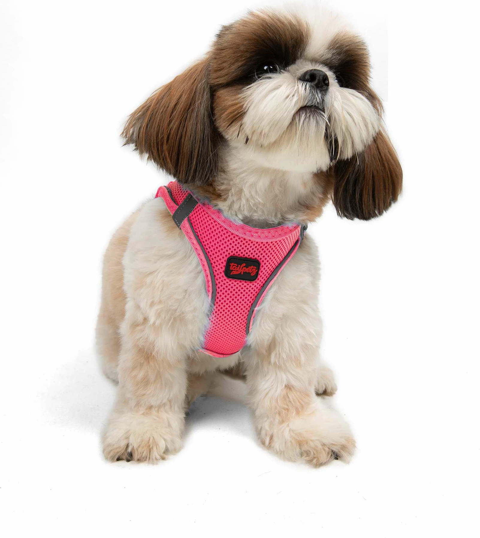 Parzmore për qen, Air-Mesh, ngjyrë Neo Pink