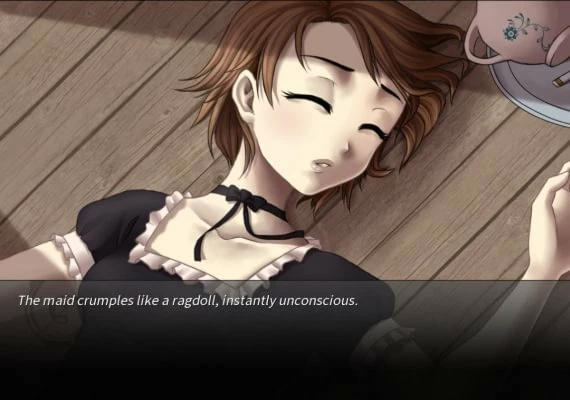 Sword of Asumi Deluxe Edition EN Global