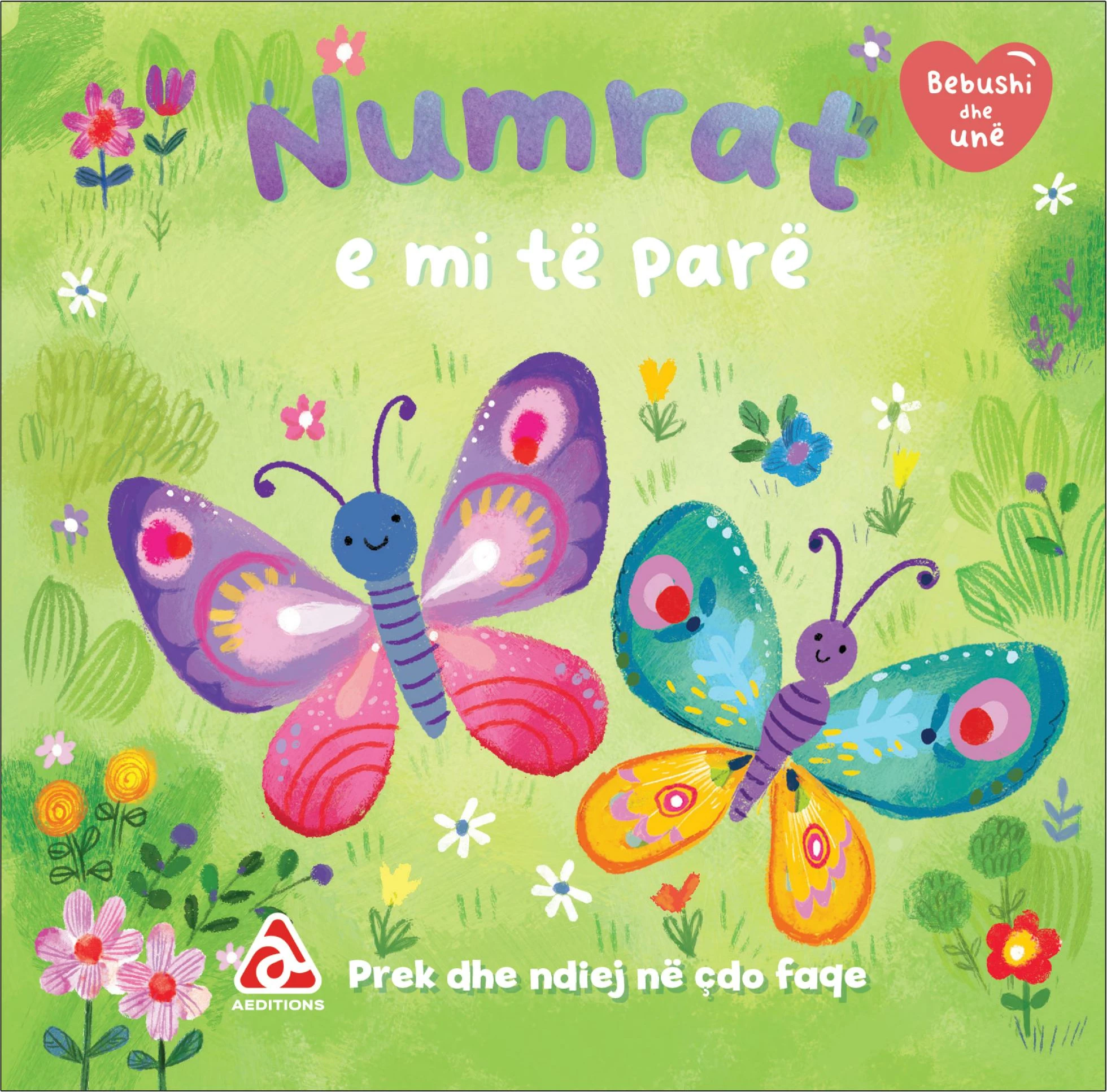 Numrat e mi te pare (Bebushi dhe une)