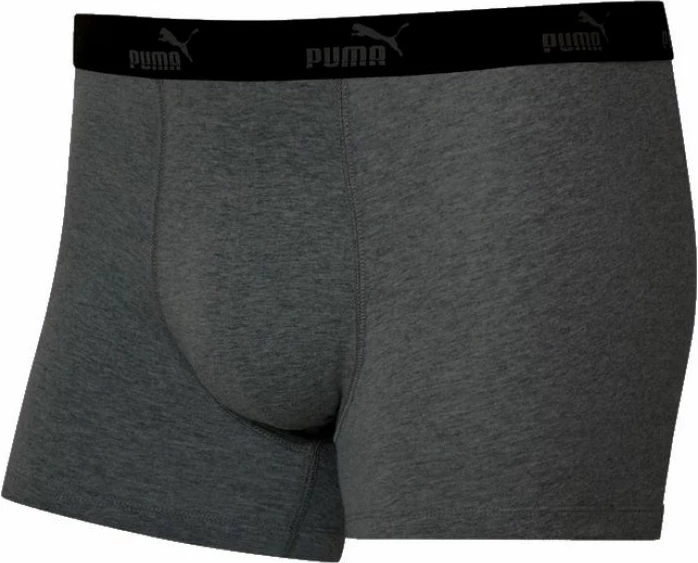 Të brendshme për meshkuj Puma, shumëngjyrëshe