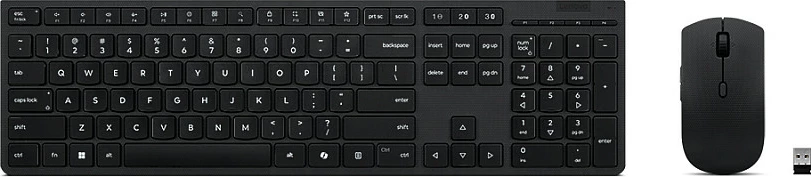 Set tastierë dhe maus Lenovo Professional Wireless Rechargeable Combo, layout gjerman, Bluetooth/RF, USB-C, i zi