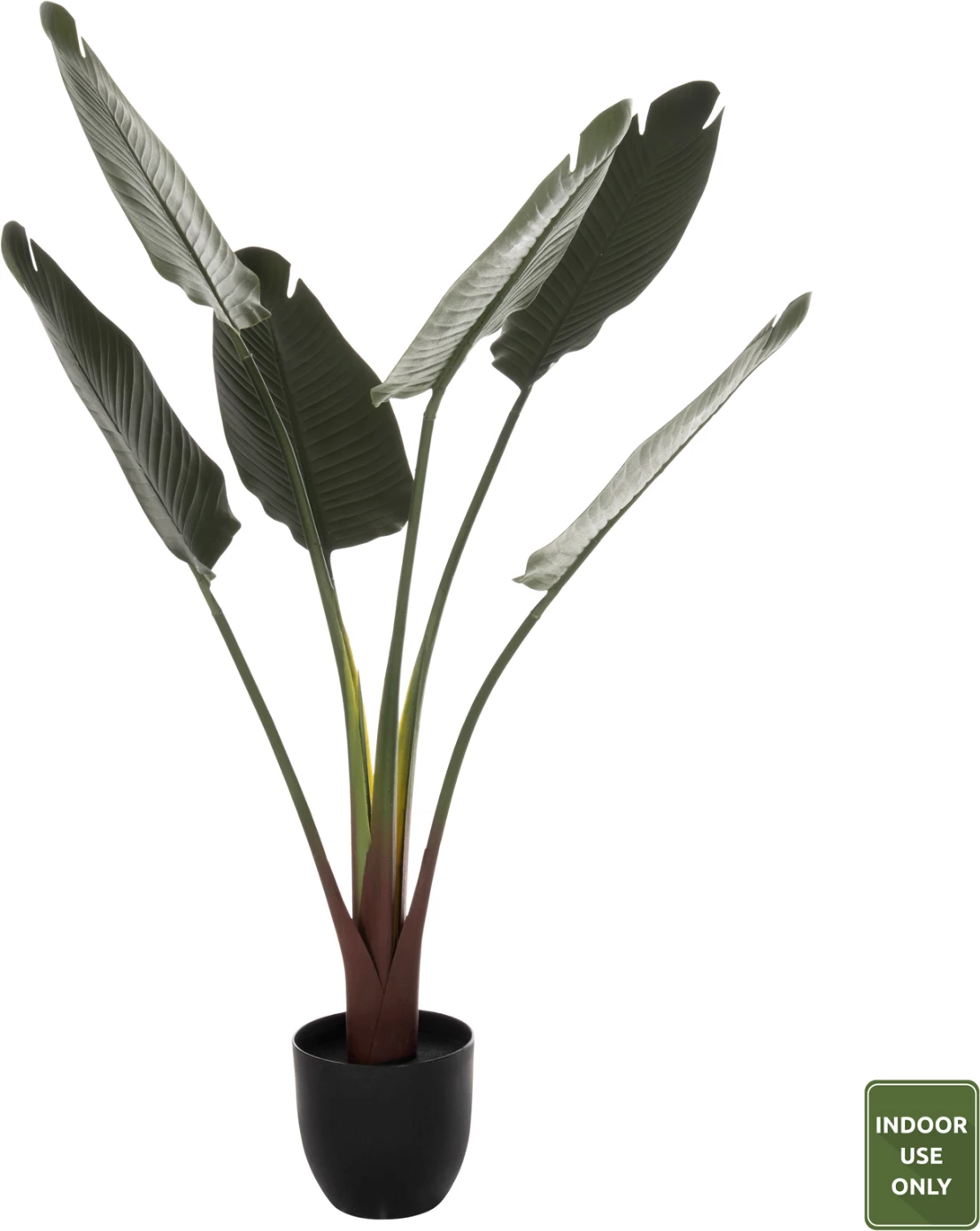 Bimë sintetike dekorative në vazo, FH7969, Strelitziaceae, 115Hcm