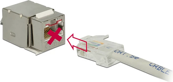 Modul Keystone DeLOCK 86404, RJ-45 femër, mekanizëm bllokimi, argjendtë