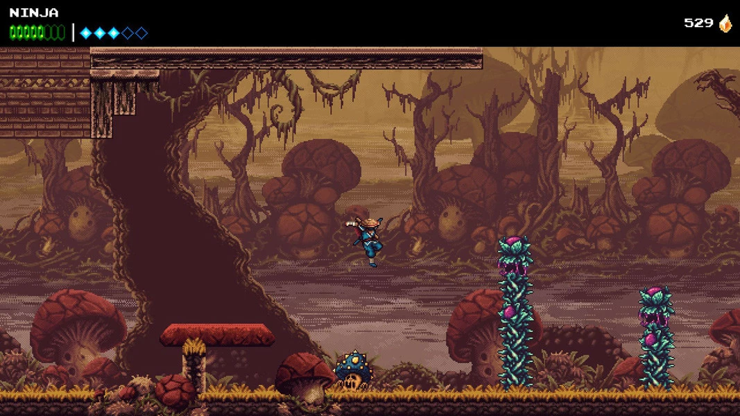 Lojë për PlayStation 5 Devolver Digital The Messenger + Picnic Panic DLC