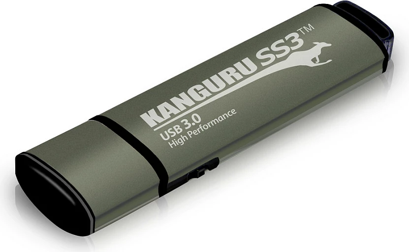 USB stick iStorage Kanguru SS3 32GB, gri