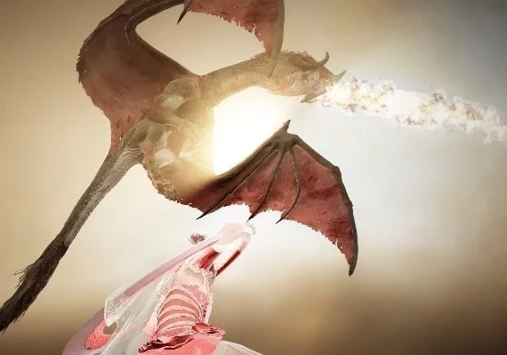 Black Desert - Special Gift Bundle 3 DLC EN Global