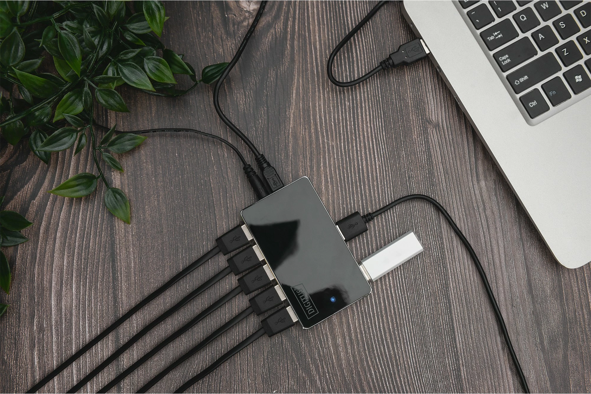 Hub USB Digitus, 10-Port, USB 2.0, 480 Mbit/s, Ngjyrë e zezë, Argjendtë