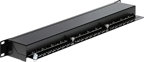Patch panel DeLOCK 43298, 24x RJ-45, 1U 19", CAT6, e zez