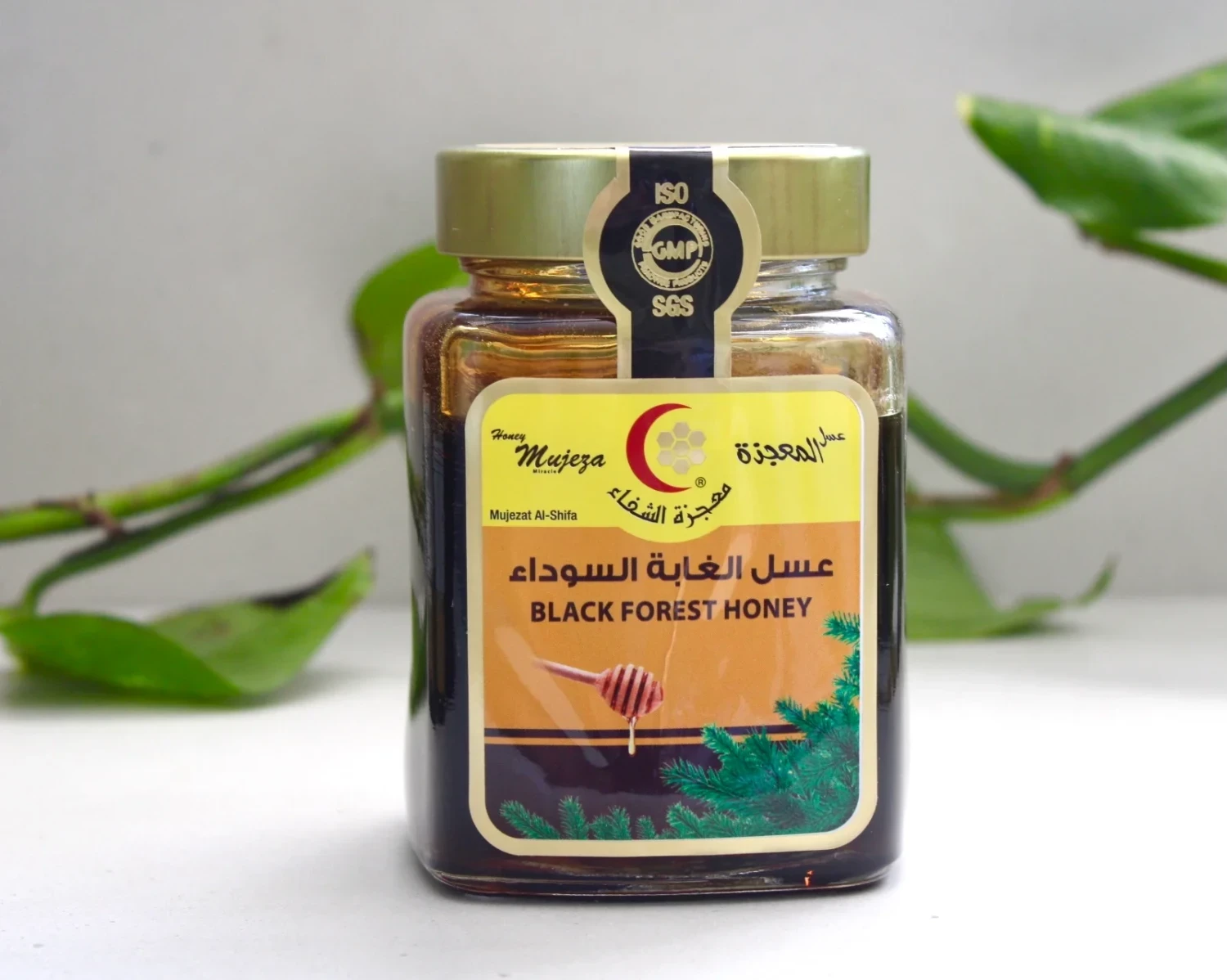 Black Forest Honey – Mjaltë e Pishave Premium me Vlera të Larta Ushqyese