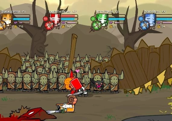 Castle Crashers Global