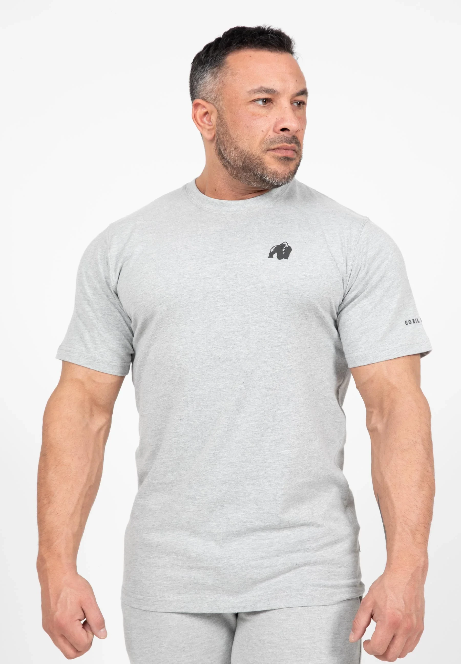 Leon T-Shirt - Gray [Madhësia: 2XL]