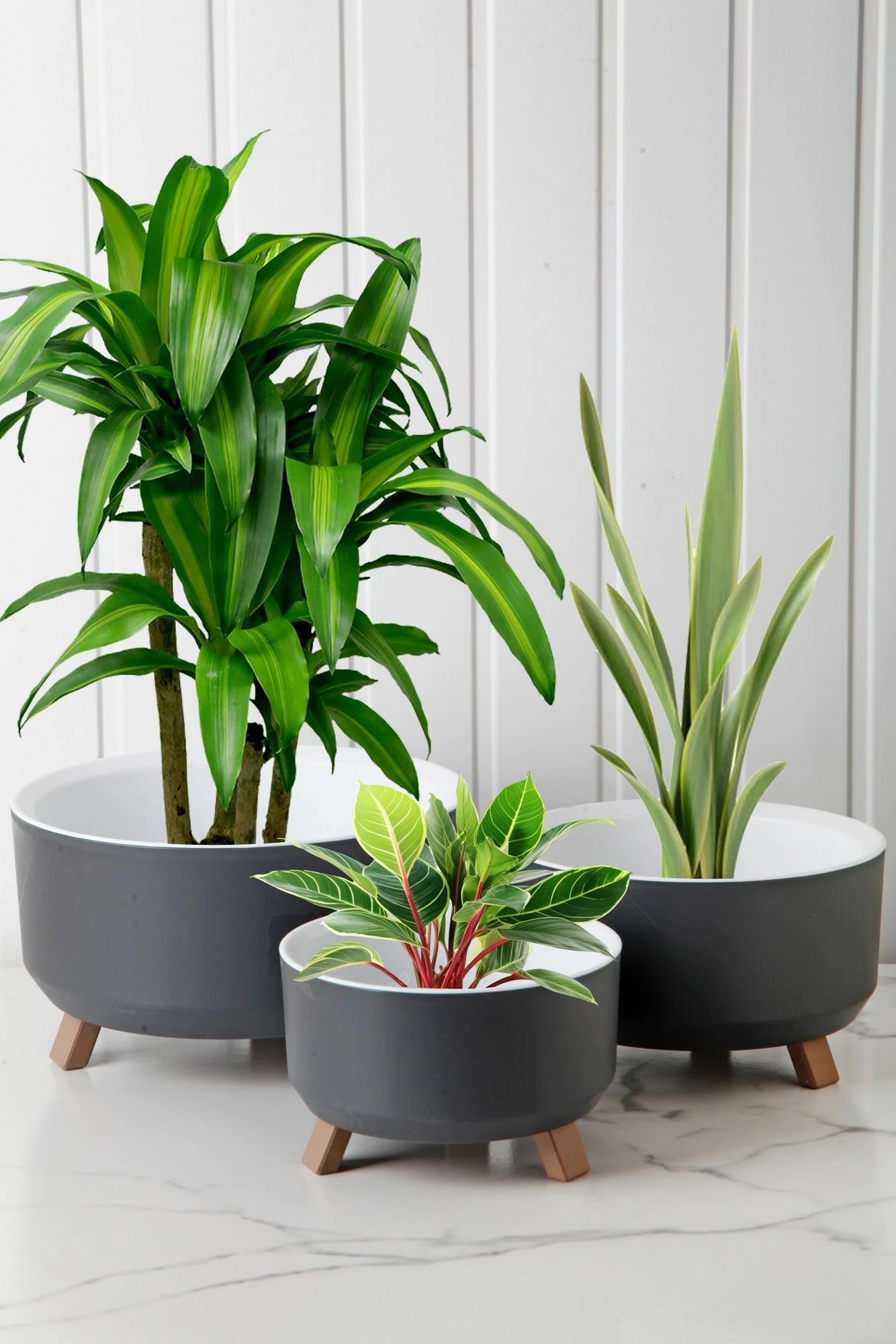 Set vazo dekorative Aberto Design, gri, TRPTSKS-1-3