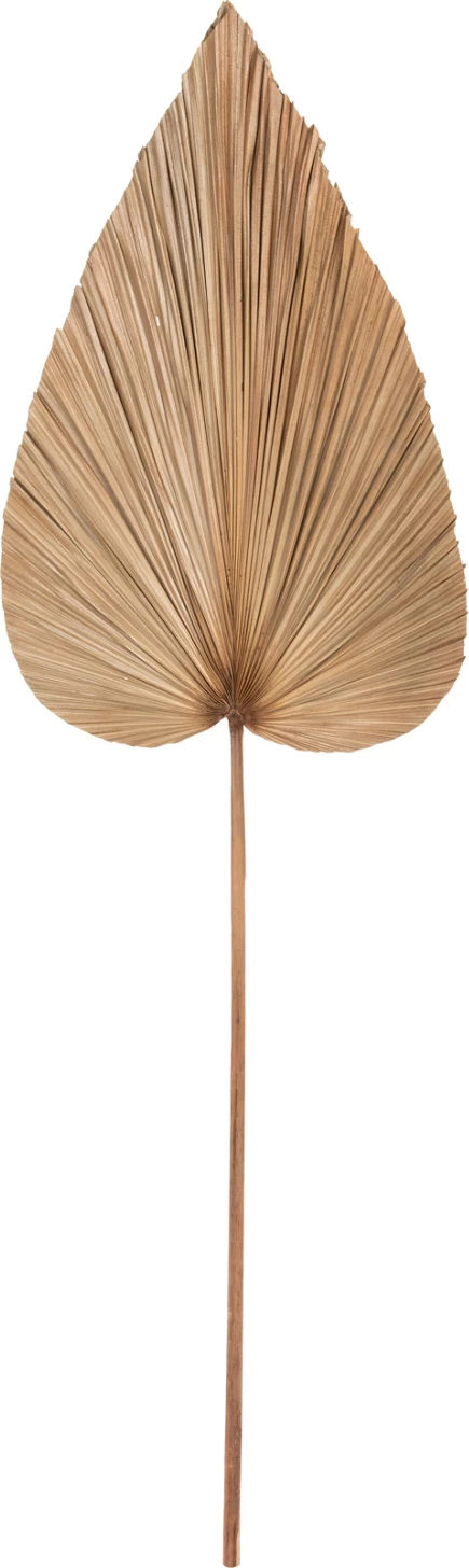 Dekor me gjethe palme të tharë, ngjyrë natyrale, FH7875, 42x135x3 cm