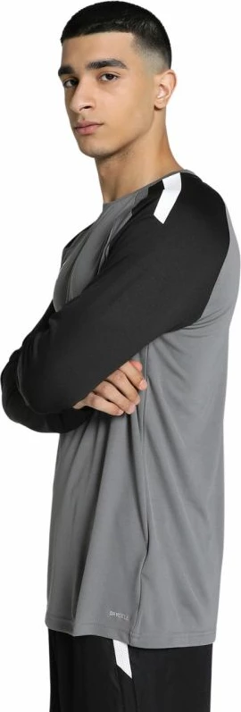 Duks për meshkuj Puma, gri