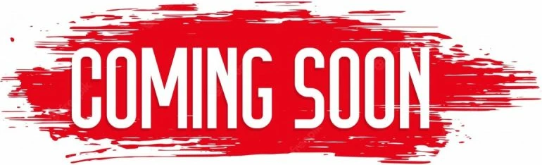 Duks Champion për meshkuj, gri