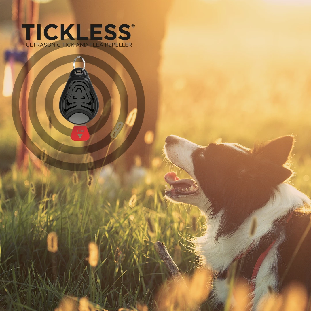 Tickless PET - Black